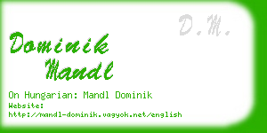 dominik mandl business card